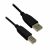 Cable USB 2.0 Noir 10′ BlueDiamond